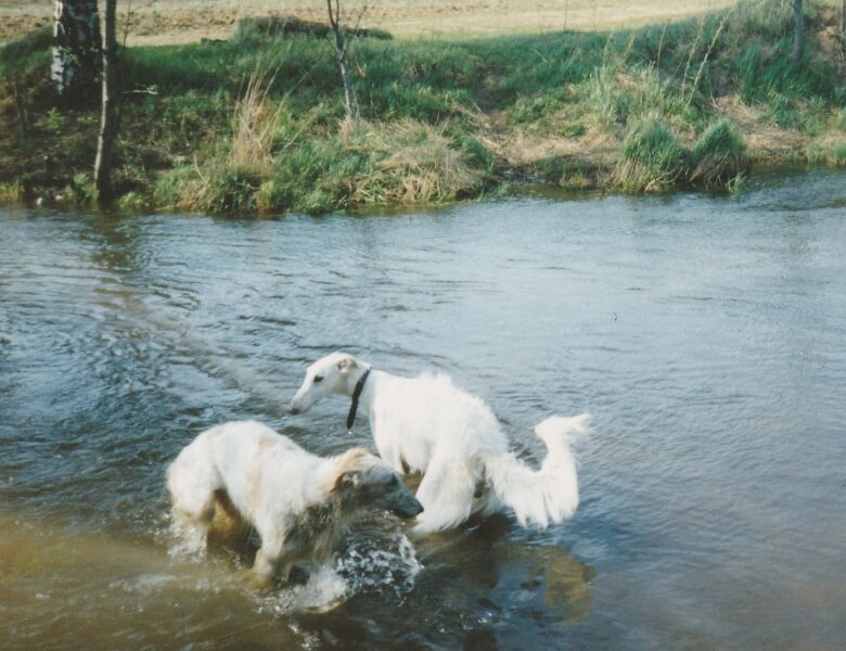 Фото из личного архива