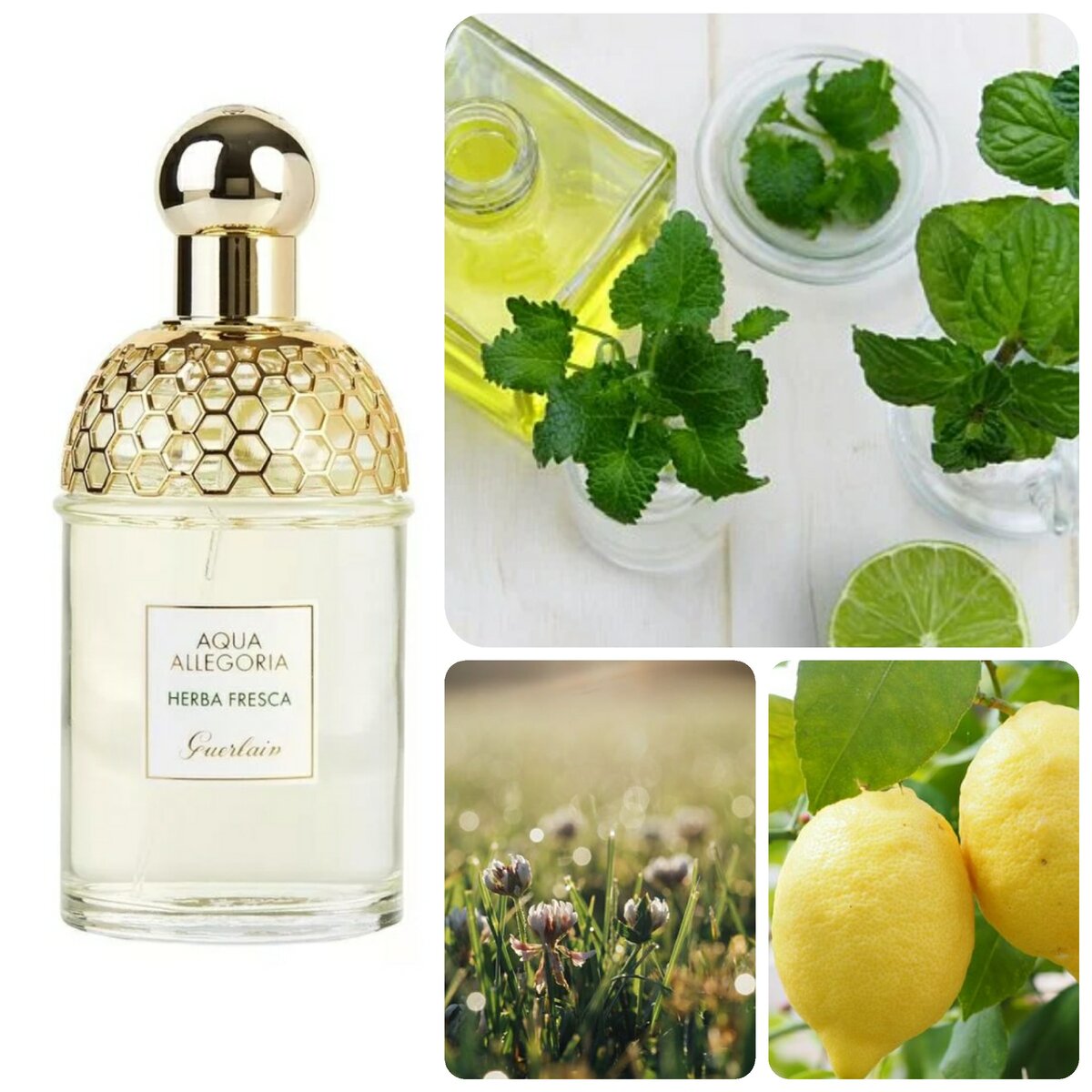 Один из моих любимых летних ароматов