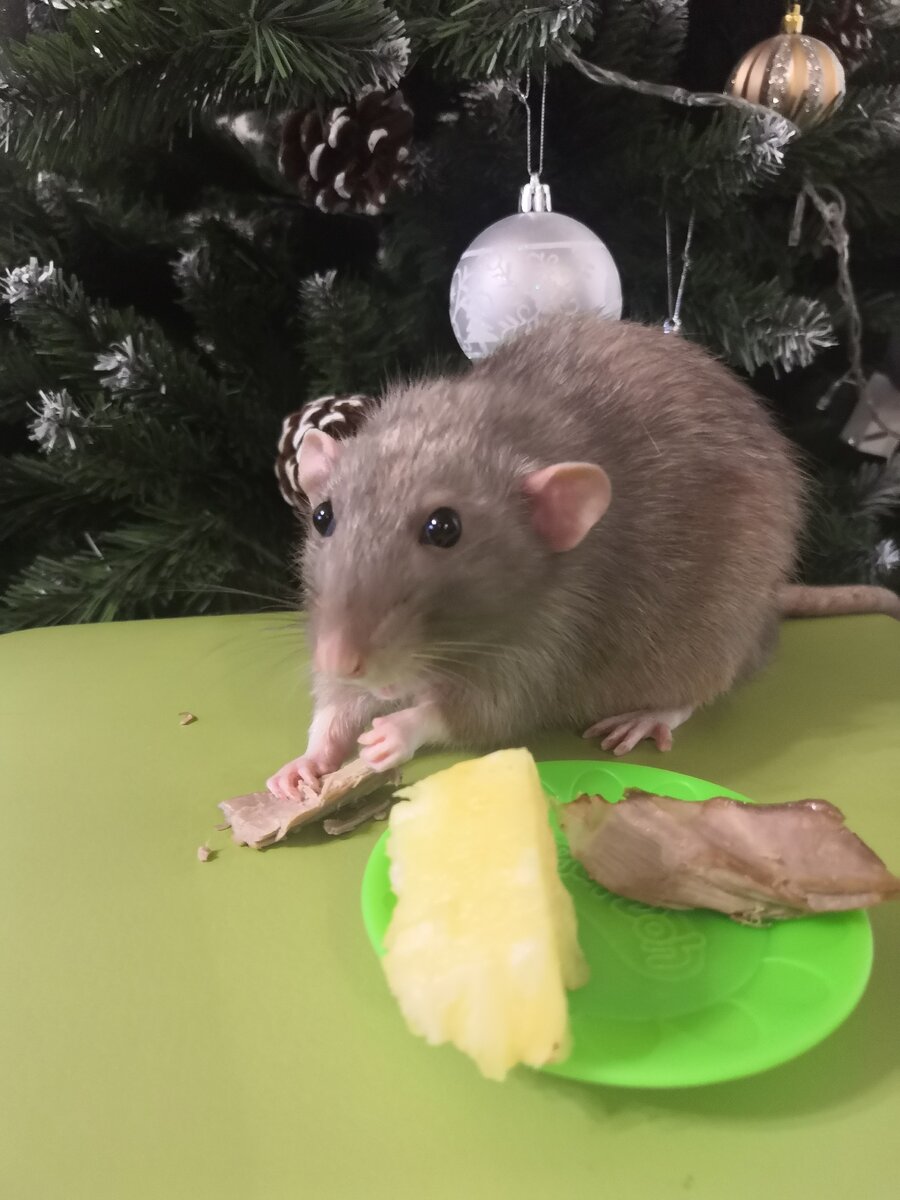 Новогодний ужин