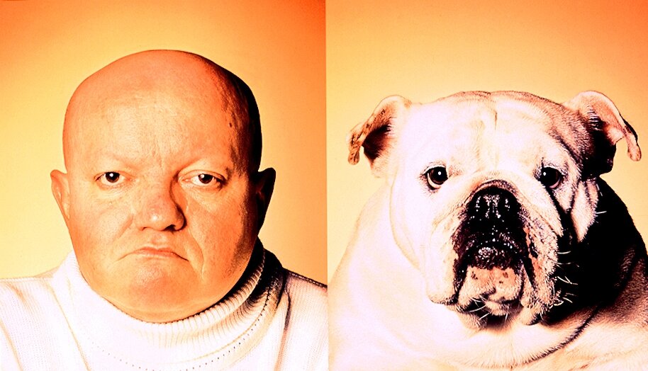 Картинка из интернета