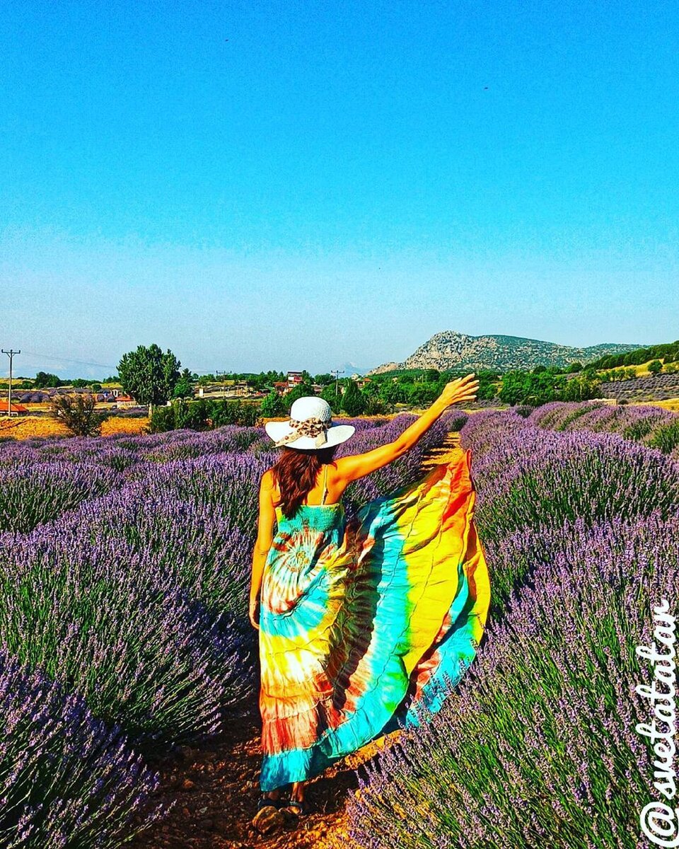 в Турции тоже есть лаванда 🤣