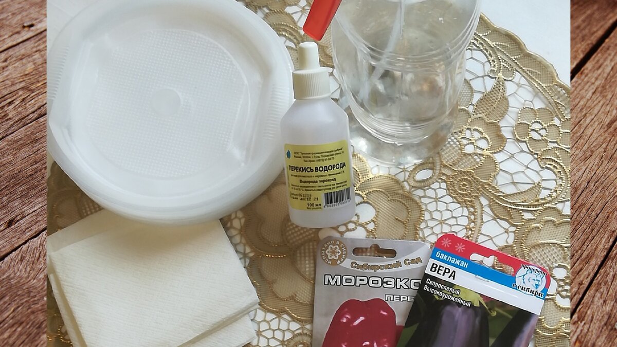 Замачивание семян в одноразовых тарелочках. Фото автора