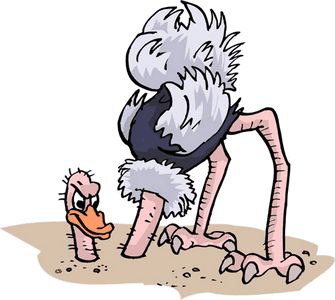 Как страус - голову в песок и розовые облака.