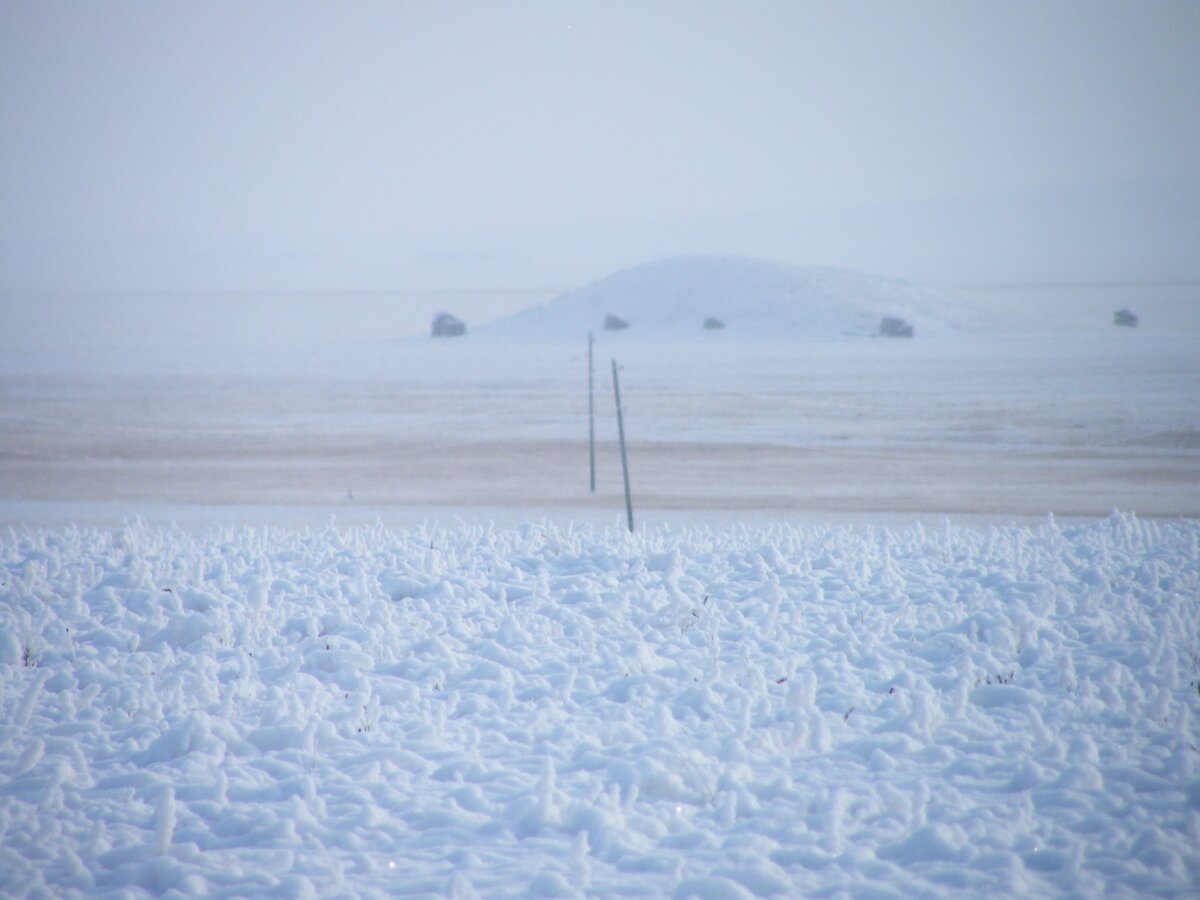 Фото от автора.