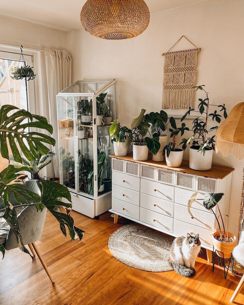 Instagram @cottoncandystories