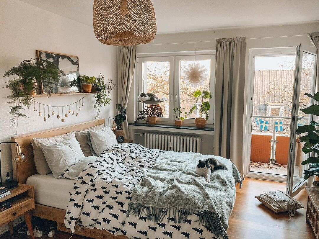 Instagram @cottoncandystories