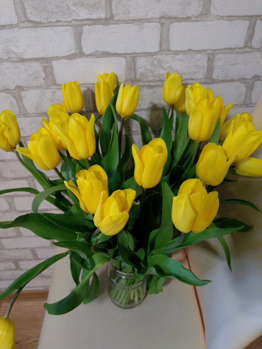 Почему желтые тюльпаны вестники разлуки. Жёлтые тюльпаны вестники разлуки. Тюльпаны вестники весны. Цветок желтый который дарят на 8 Маста. Желтые тюльпаны в вазе фото.
