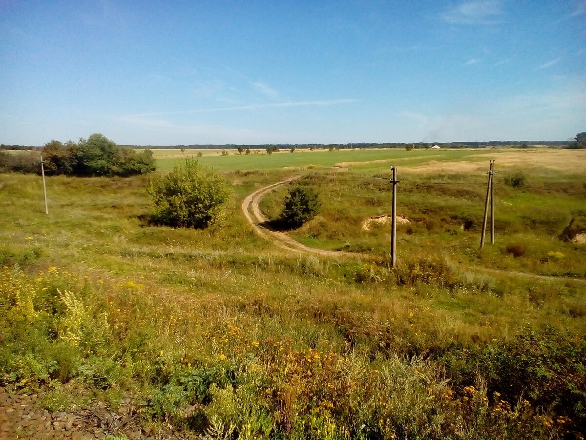 ЖД направление Льгов-Брянск (вдоль которой наш сенокос и огороды)