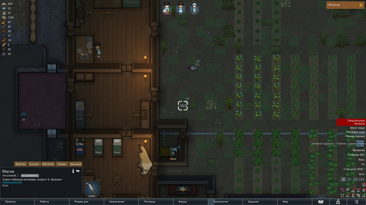 Собачка прибилась в первый день, а гигантский ленивец откуда взялся - хороший вопрос.