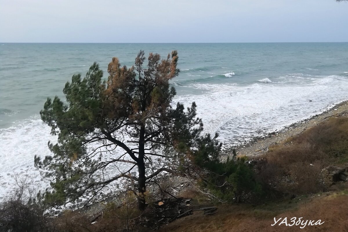 Вот оно - Черное море! (специально фотографировал чтобы без мусора, но он везде)