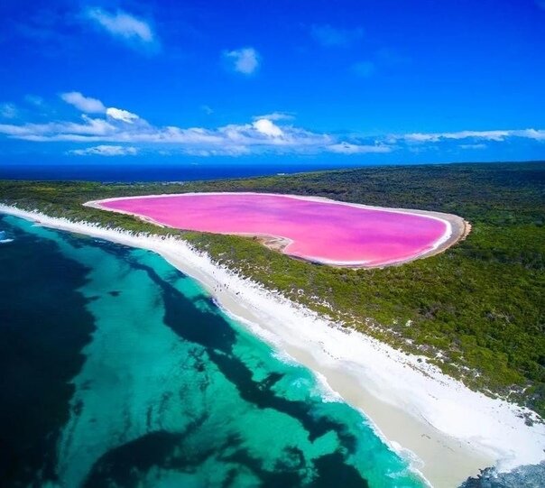 Розовое озеро в Мексике