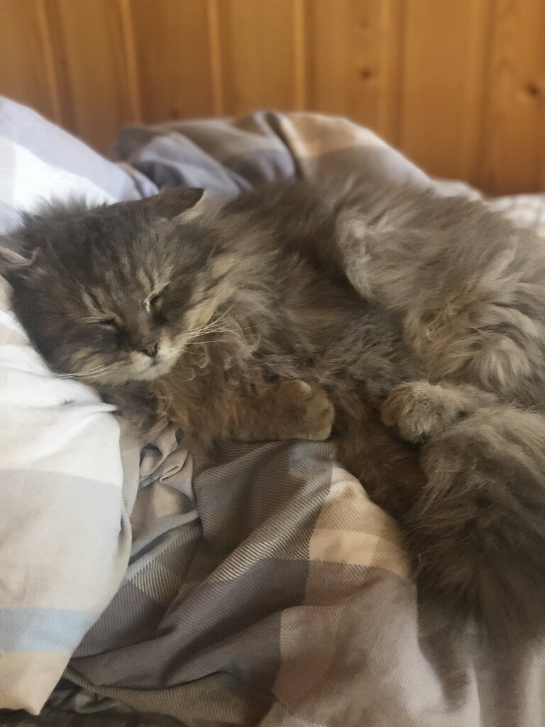 Еще худой и несколько потрепанный Филя.