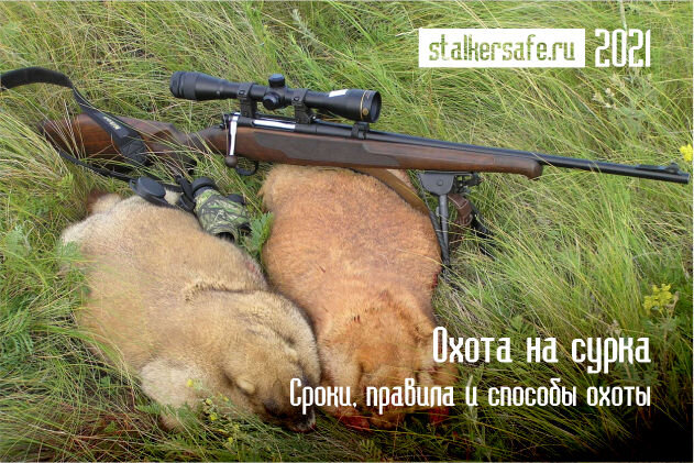 Интернет-магазин Stalkersafe.ru