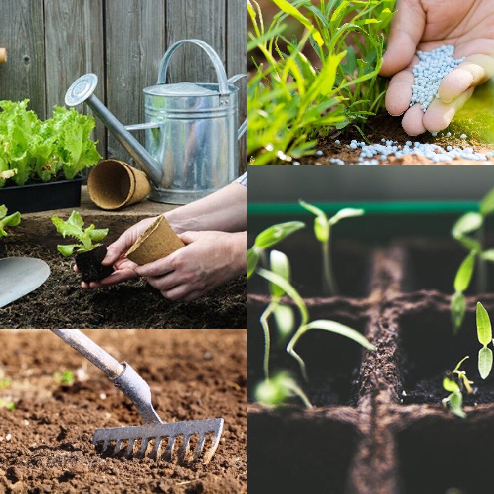 Какие работы необходимо выполнить в саду/огороде за апрель?