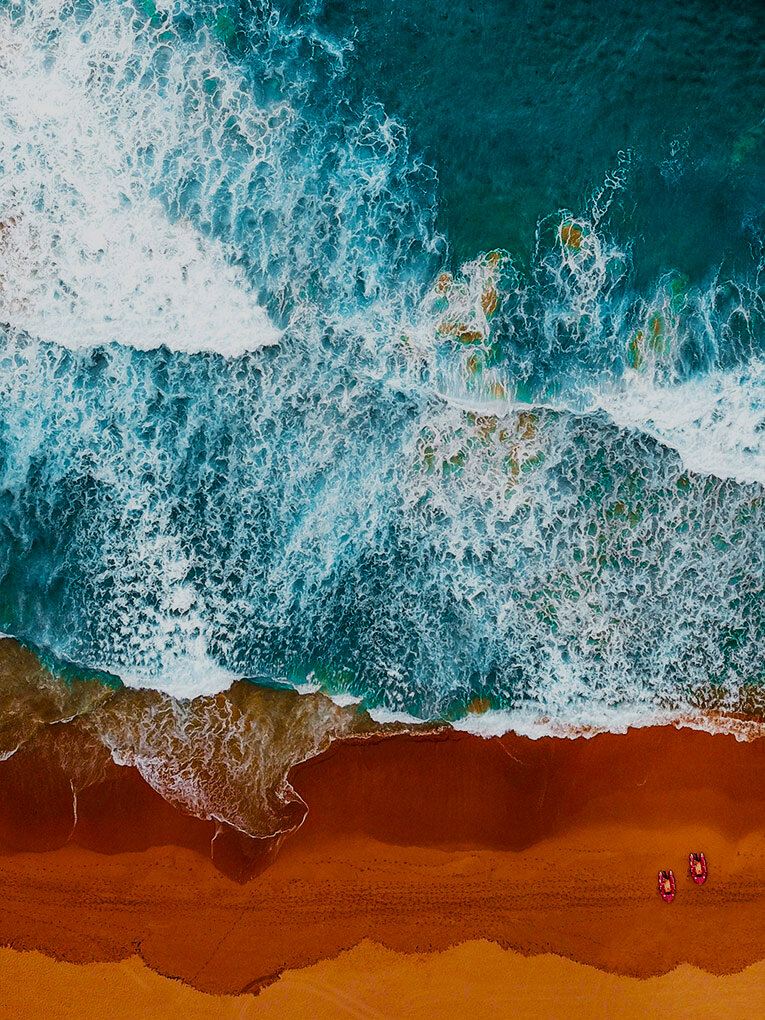 Вы можете мельком увидеть одного или двух дельфинов.