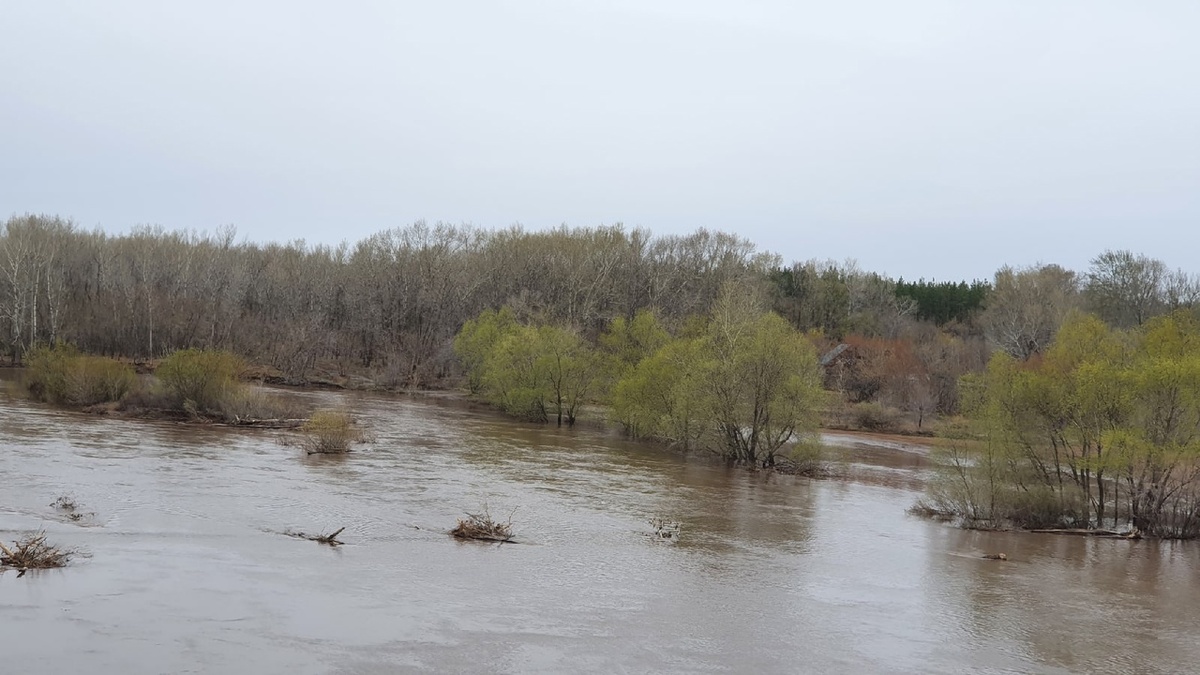 Фото Лужецкой Натальи река Самара - уровень воды падает 22 апреля 2021 года