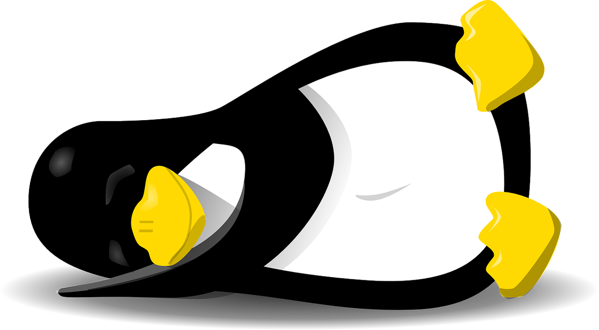 Пингвин. Фото: pixabay.com