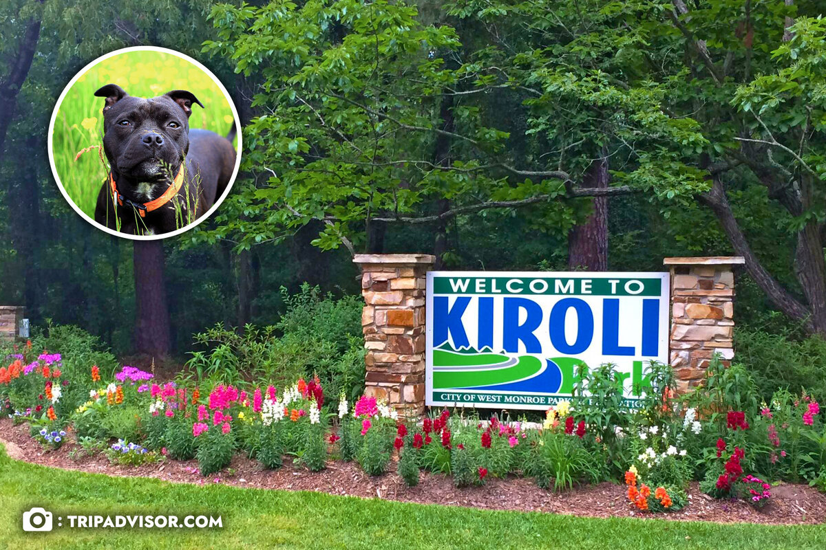 Название «Kiroli» происходит от первых двух букв общественных клубов (Kiwanis, Rotary, Lions), которые выкупили эту территорию еще в прошлом веке (на фото не Серена)