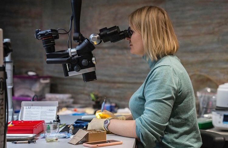 Знайте, кариес на переднем зубе чаще всего развивается тогда, когда уже поражён соседний.