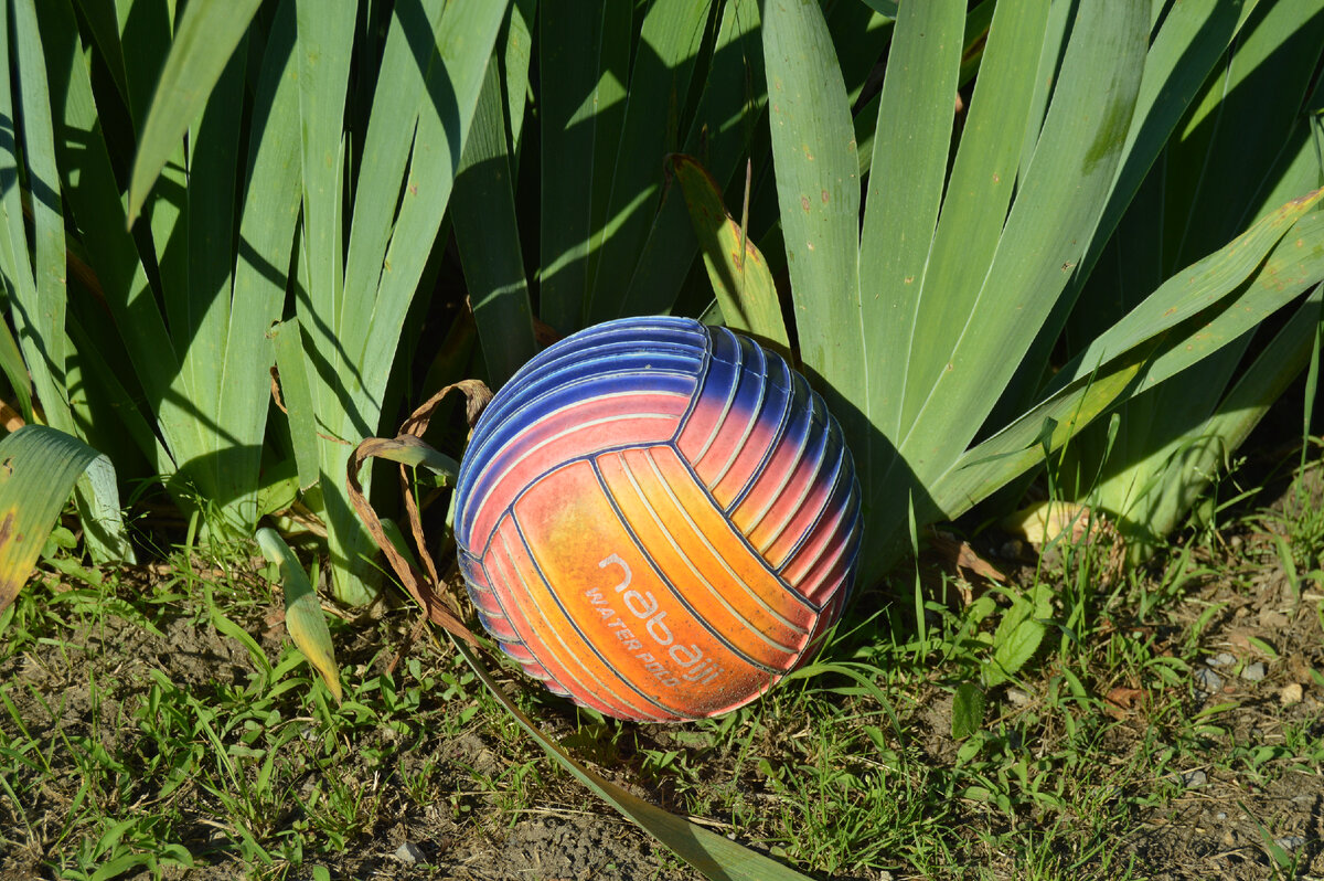 Личное фото. Мяч.