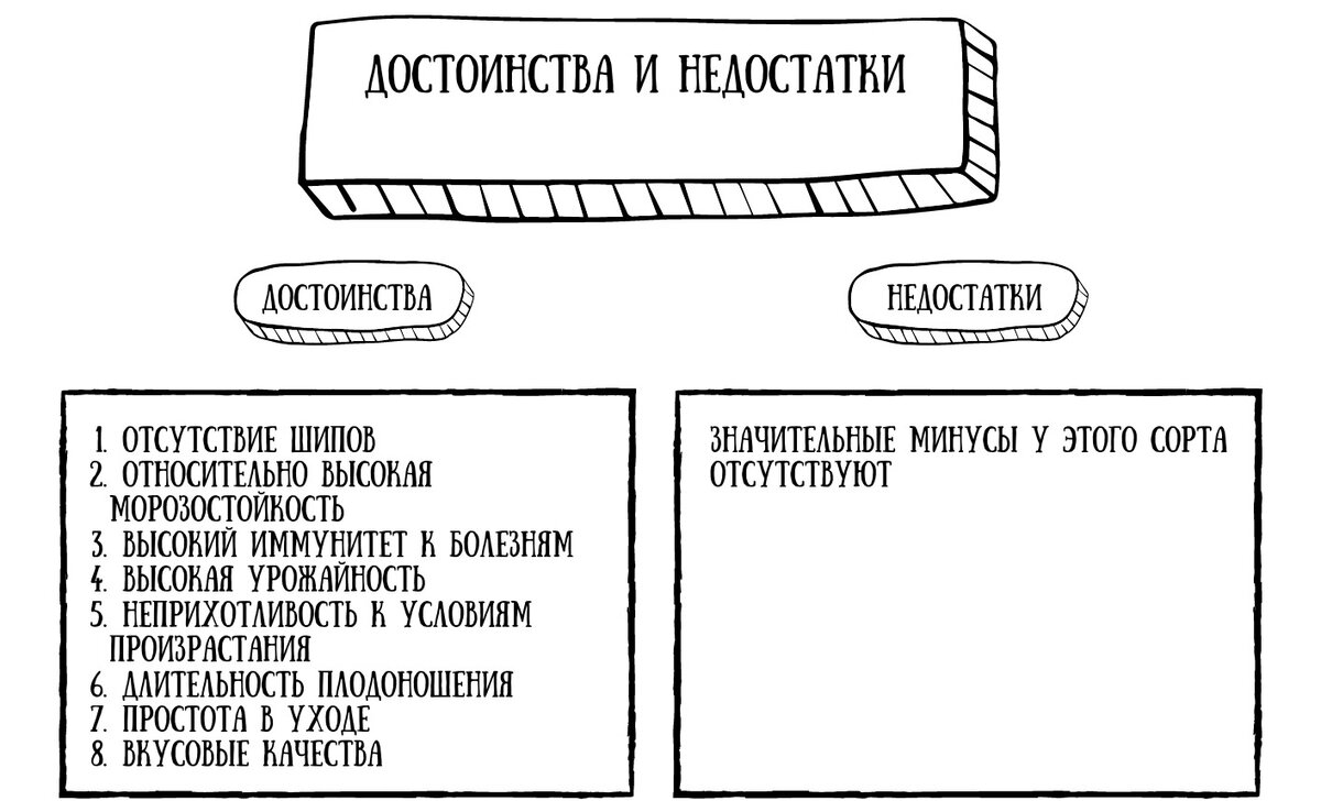 Размеры и рост