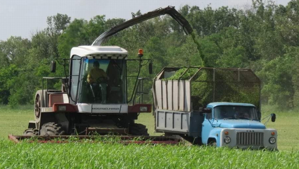krasrab.ru. Фото с Яндекса. Загрузка.