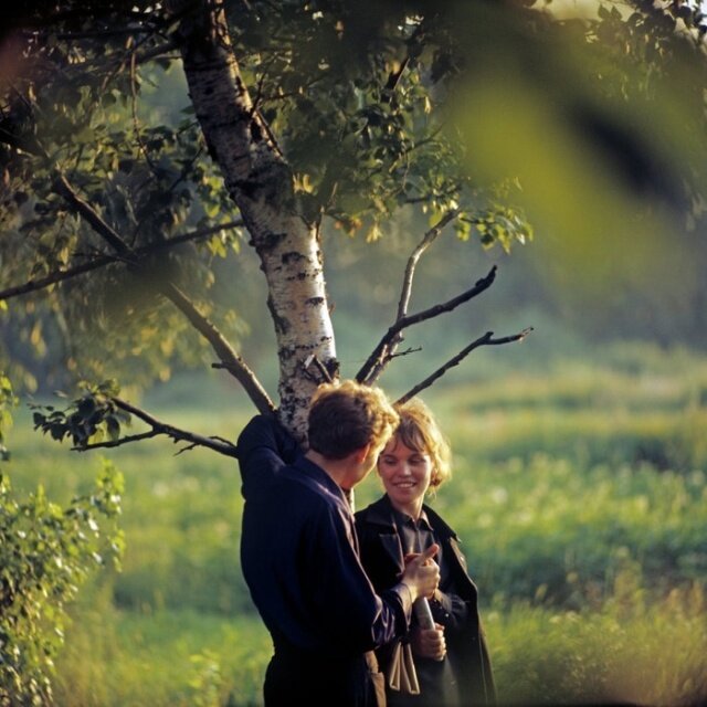 Фото diddlybop.ru