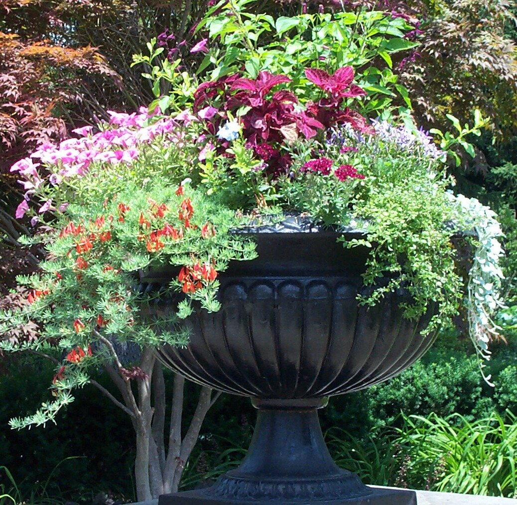 Клумба в вазоне