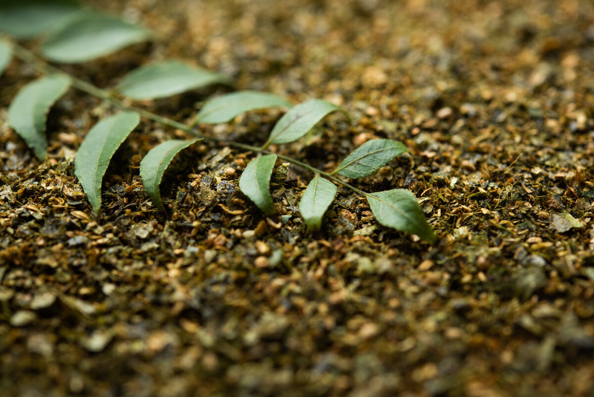 Листья карри обладают множеством свойств