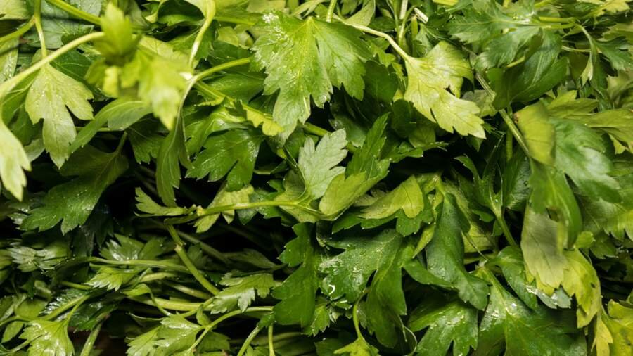 Фото: Depositphotos/Chretien