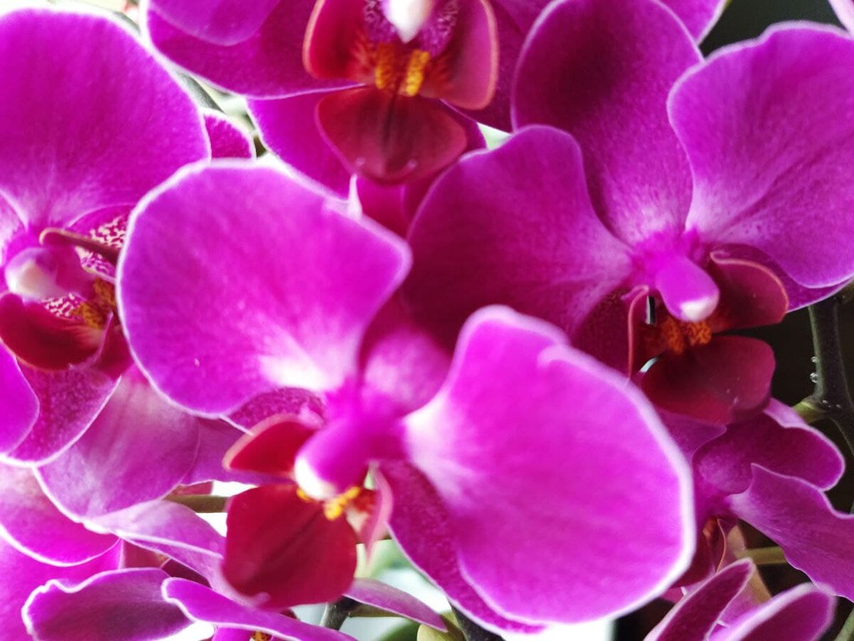 Фото из личного архива.