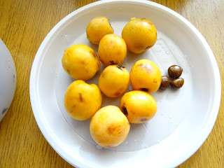 Мушмула. Плоды (напоминают по форме и окраске абрикосы) сочные, кисло-сладкие, мне показалось, что по вкусу напоминают грушу, мандарин, сливу. В общем, наши желудки были в недоумении.  Погуглив, узнала много интересных фактов об этом черноморском фрукте: мушмула малокалорийна, укрепляет иммунную систему, благодаря большому объему молекулярной воды избавляет организм от токсинов. 