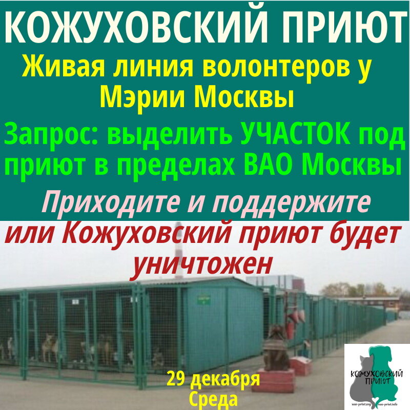 Живая линия у Мэрии Москвы 29 декабря среда