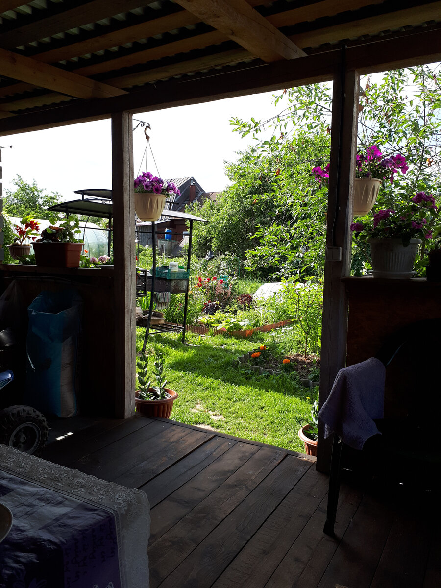 Вид из беседки