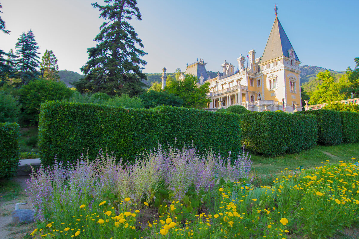 вид из сада на дворец