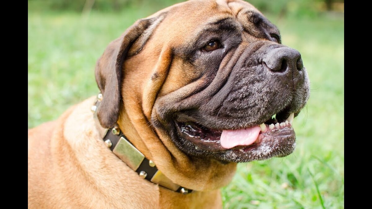 Источник фото сайт - https://clck.ru/apgff