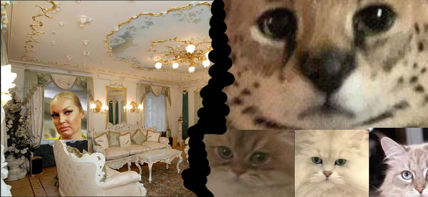 Подмосковный особняк все чаще напоминает склеп