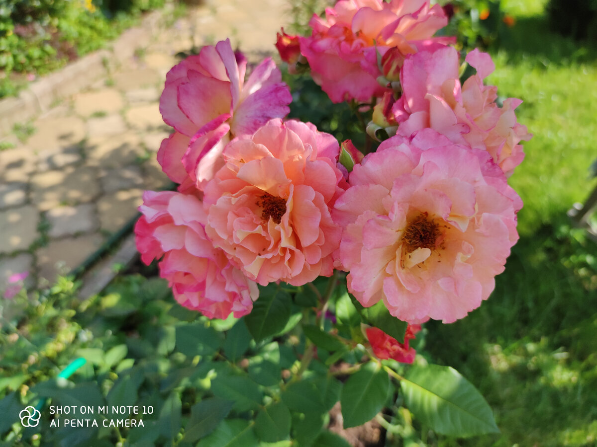 Фото автора