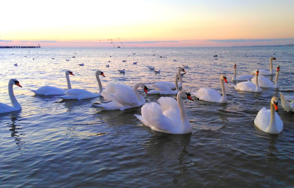 Анапа зима центральный пляж фото автора