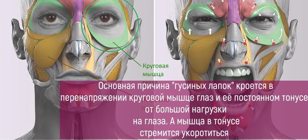 ok - свободный доступ