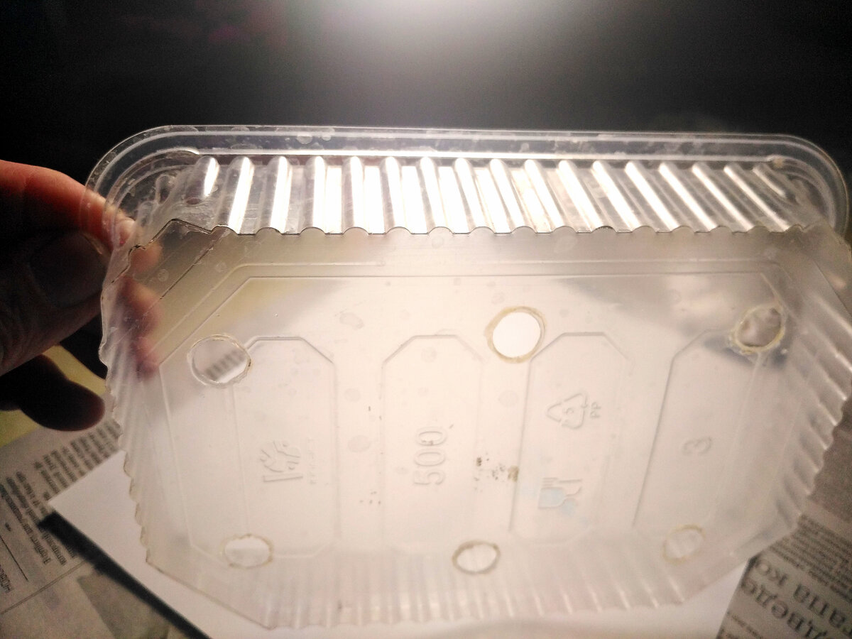 В донышке чистой пластиковой емкости от творожной массы проделала 6 отверстий.