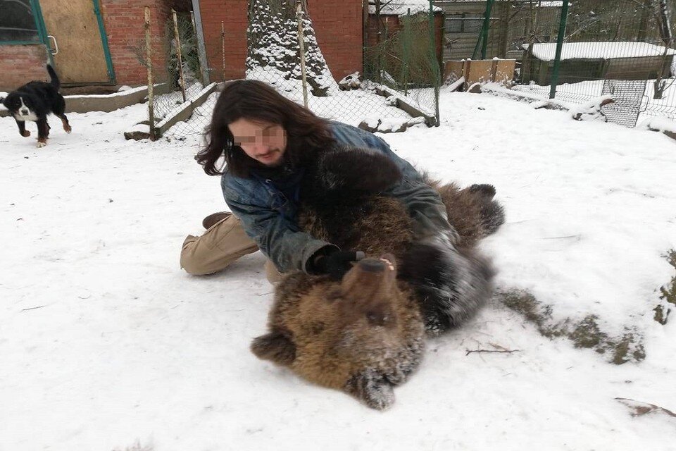 Виннипушке не понравилось угощение от юного посетителя ФОТО: vk.com/club142483975 
Читайте на WWW.SPB.KP.RU: https://www.spb.kp.ru/daily/27376/4558590/