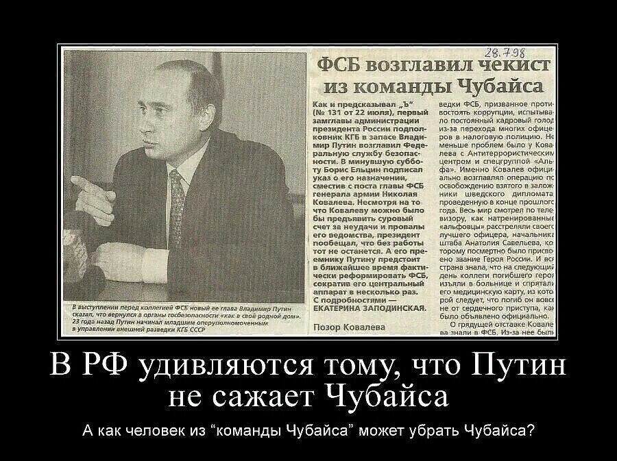 Хоть убитый. Чубайс демотиваторы.