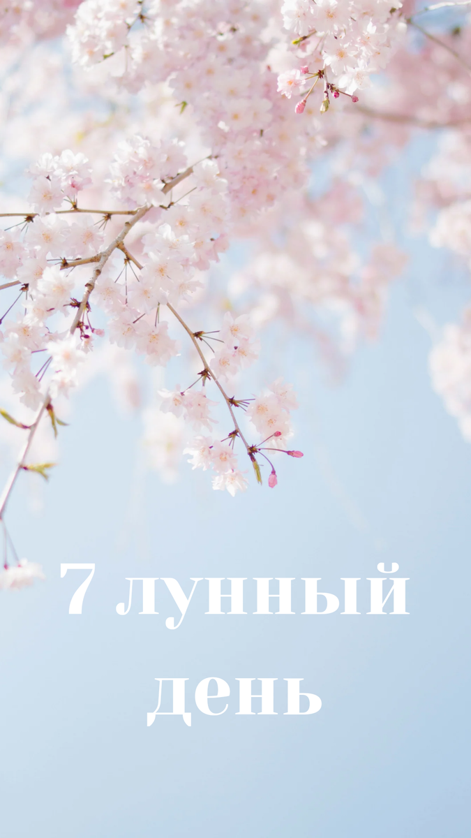 7 лунный день. фото автора