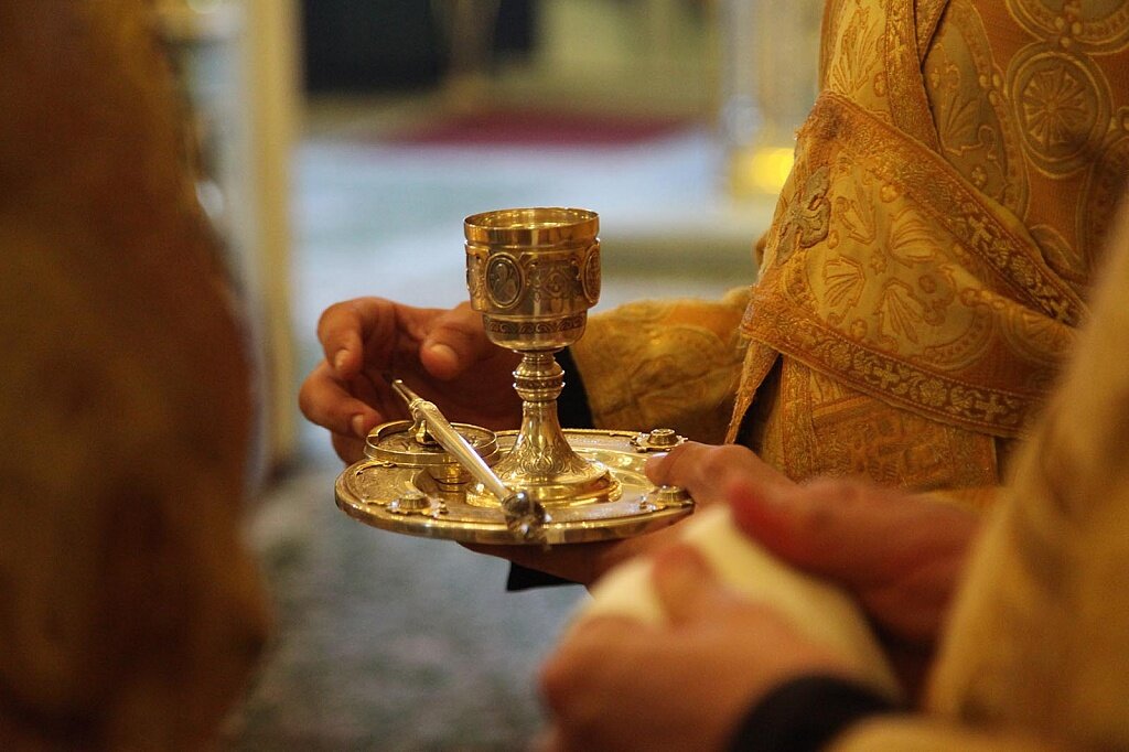 Фото из открытых источников