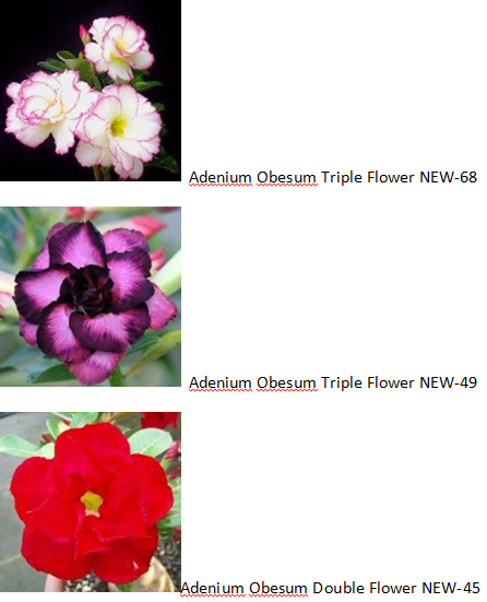 Эти понравились больше всего. 