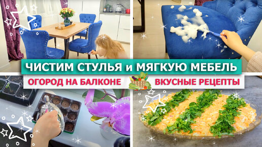 🧼🧴 ЧЕМ ЧИСТИТЬ СТУЛЬЯ и МЯГКУЮ МЕБЕЛЬ 😲😥СЛОМАЛАСЬ СТИРАЛКА 🍅🥒 Завела ОГОРОД НА БАЛКОНЕ 💥ВКУСНЫЙ УЖИН