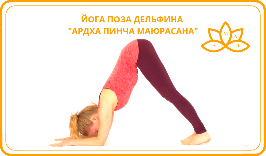 ардха чакрасана. поза трупа (шавасана). йога шавасана техника. дханурасана и шалабхасана. урдхва прасарита экападасана.