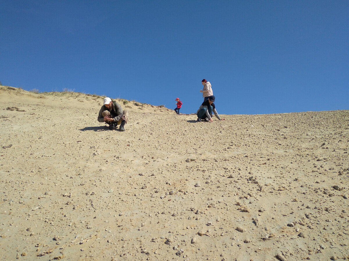 полевые исследования в Нижнем Поволжье