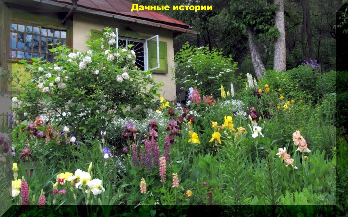 https://vk.com/photo-159774511_457253746